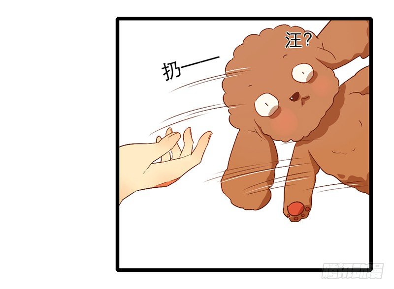 《新晋上仙腐神君》第6话 月……月伦？！ 第33页