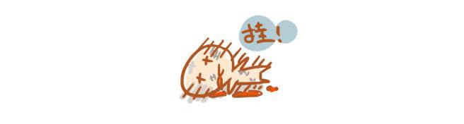 《跟我一起去欺负小恐龙》20 第5页