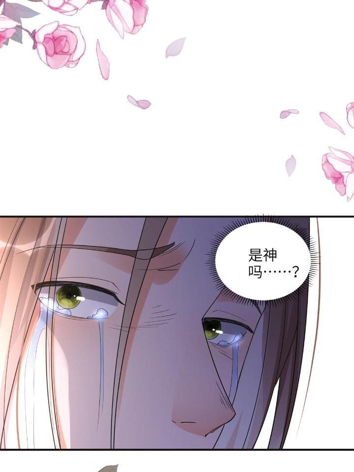 《离婚后前夫成为我的忠犭》24 杀了崔铭 第7页