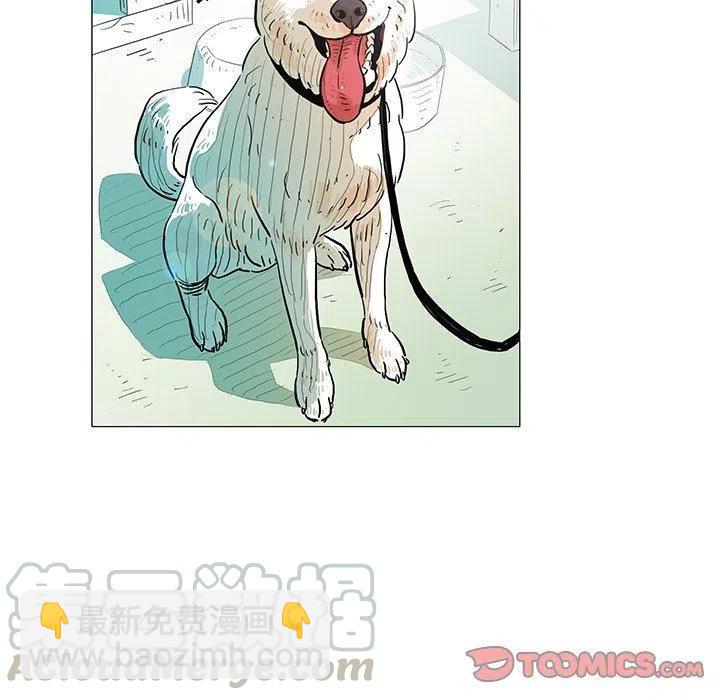 《守卫地球金勇士》17 第46页