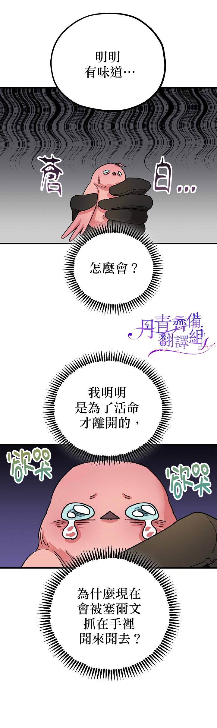 《暴君的精神安定剂》第4话 第24页