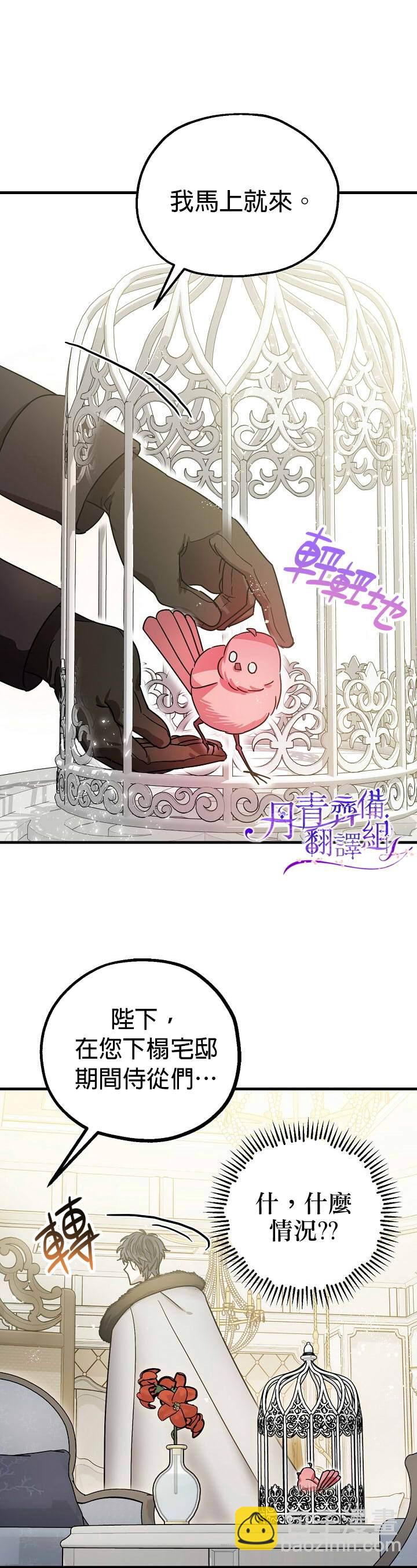 《暴君的精神安定剂》第5话 第19页