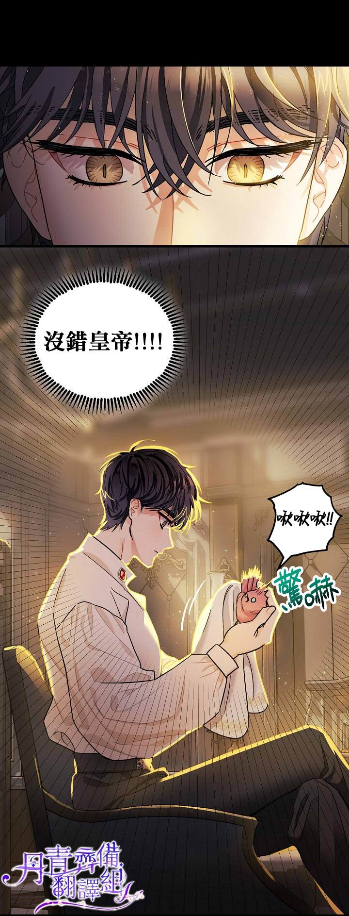 《暴君的精神安定剂》第5话 第24页