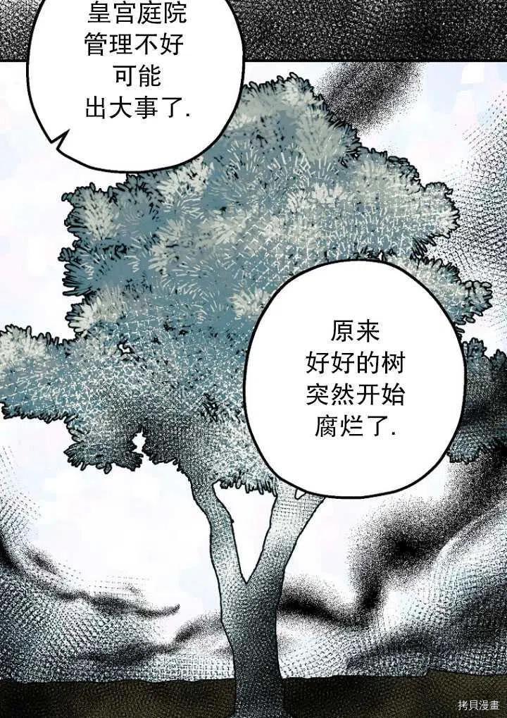 《暴君的精神安定剂》第34话 第16页