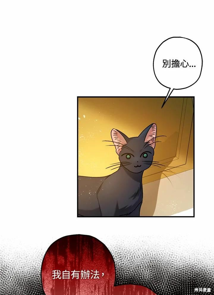 《暴君的精神安定剂》第66话 第14页