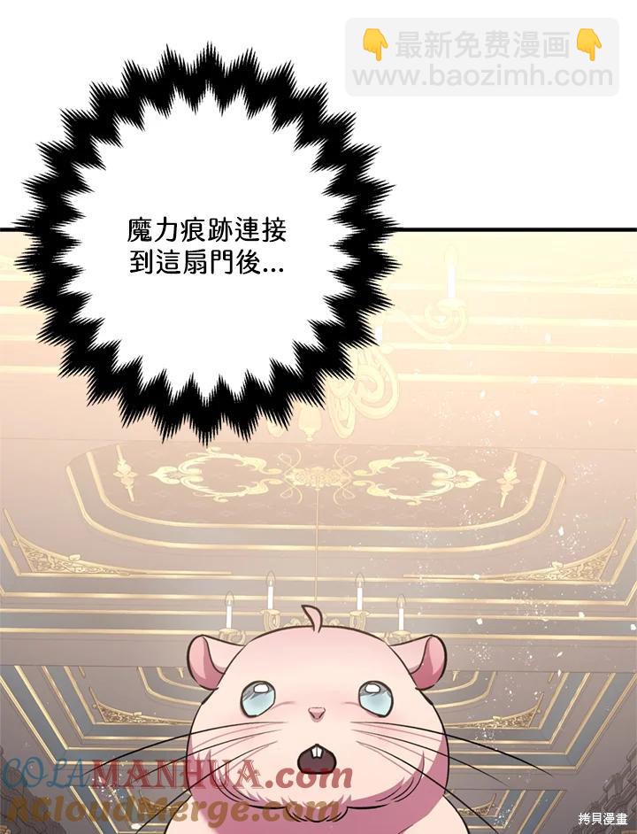 《暴君的精神安定剂》第77话 第5页