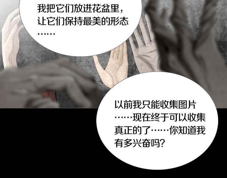 《环形公寓》第17章收藏品 第48页