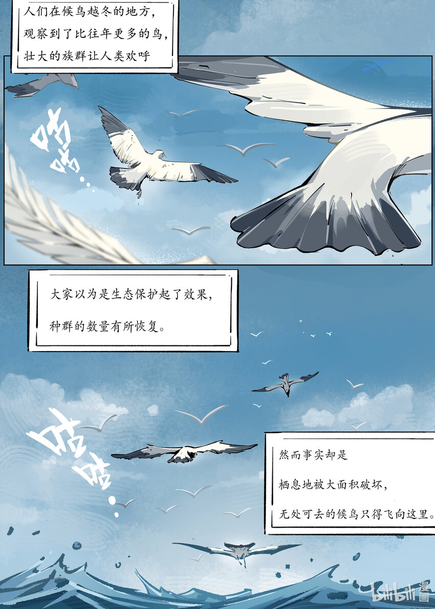 《无天于上候鸟》第一集 第一集 第3页