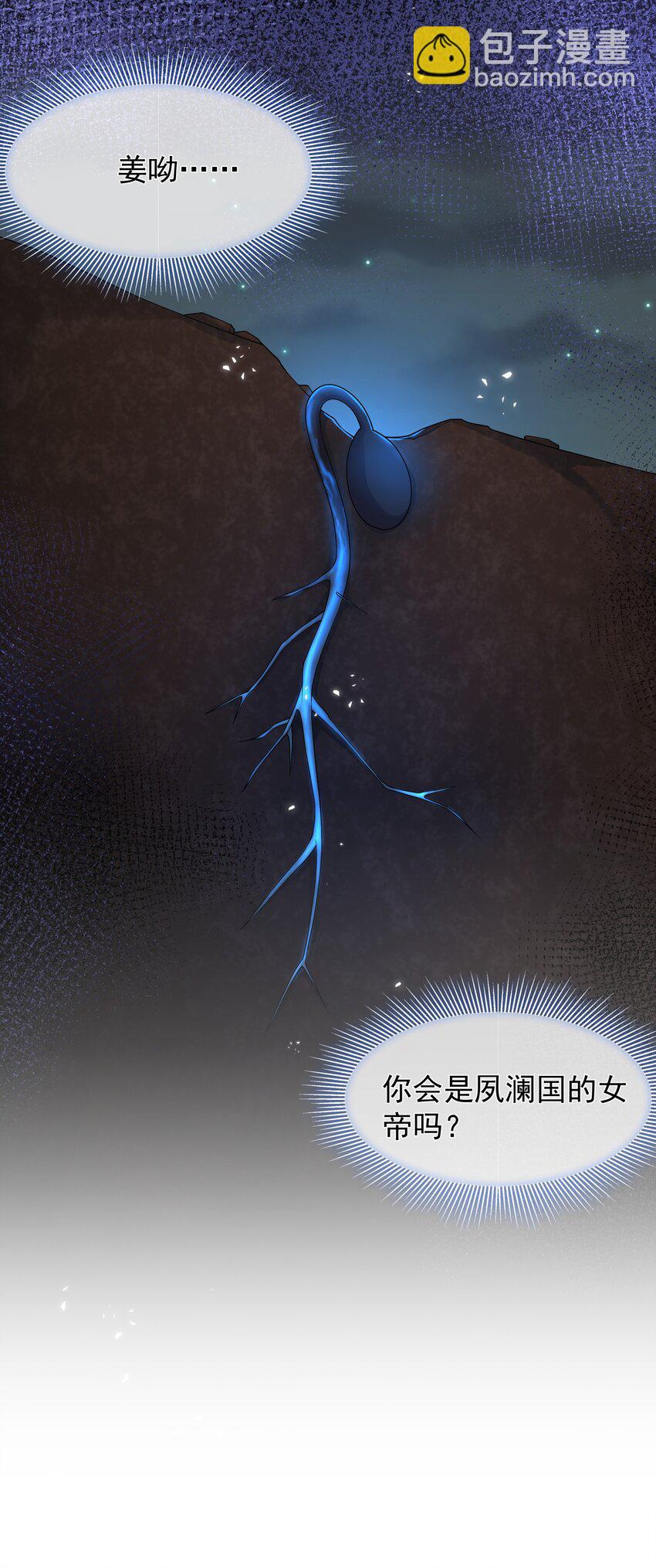 《重生为了敌国的恶毒皇后》017 秘术 第41页