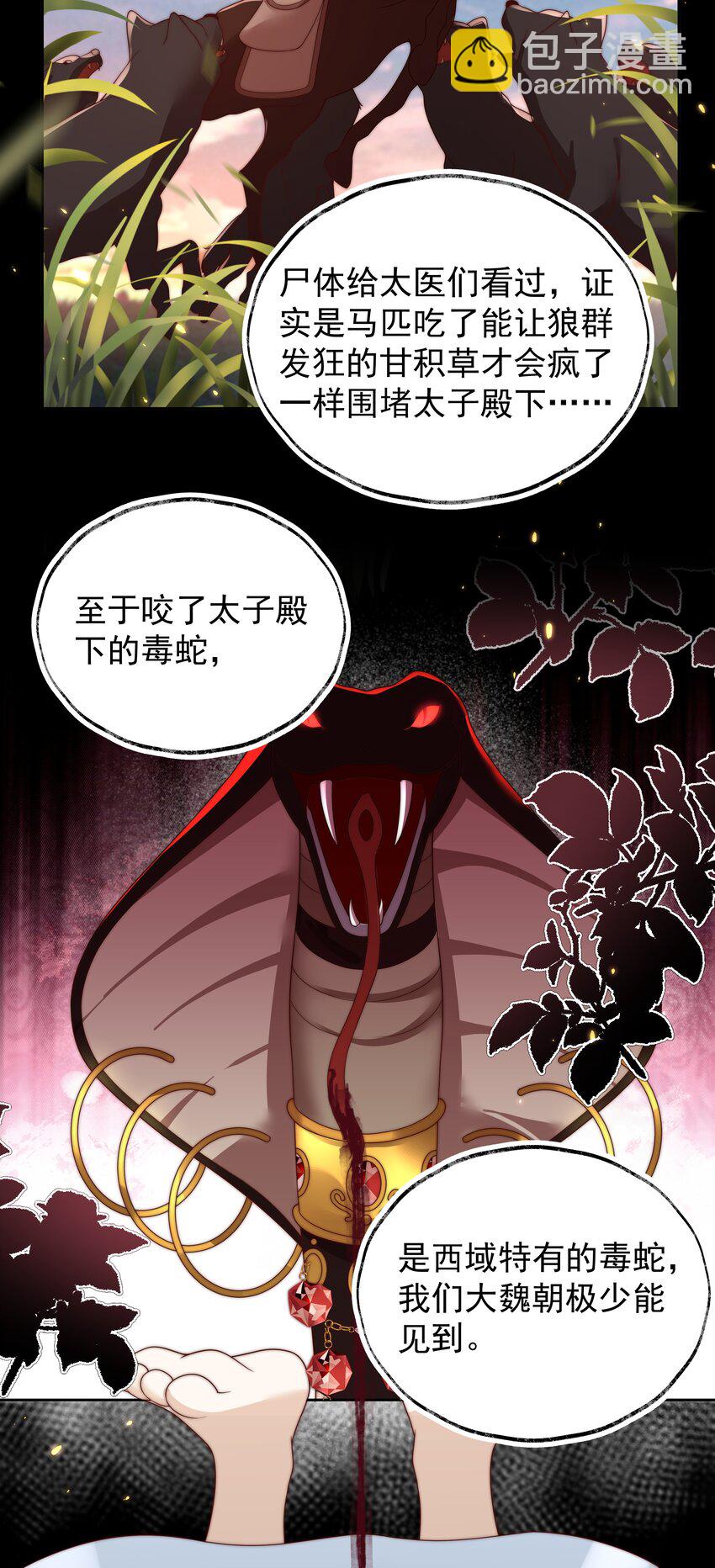 《重生为了敌国的恶毒皇后》026 为娃出头 第4页