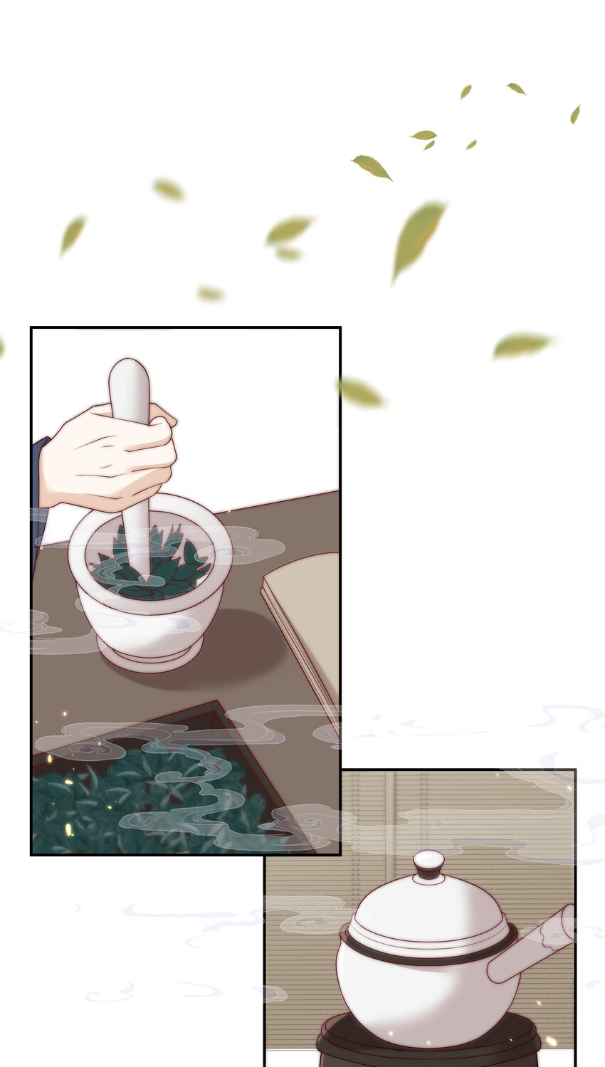 《重生为了敌国的恶毒皇后》024 御医驾到 第3页
