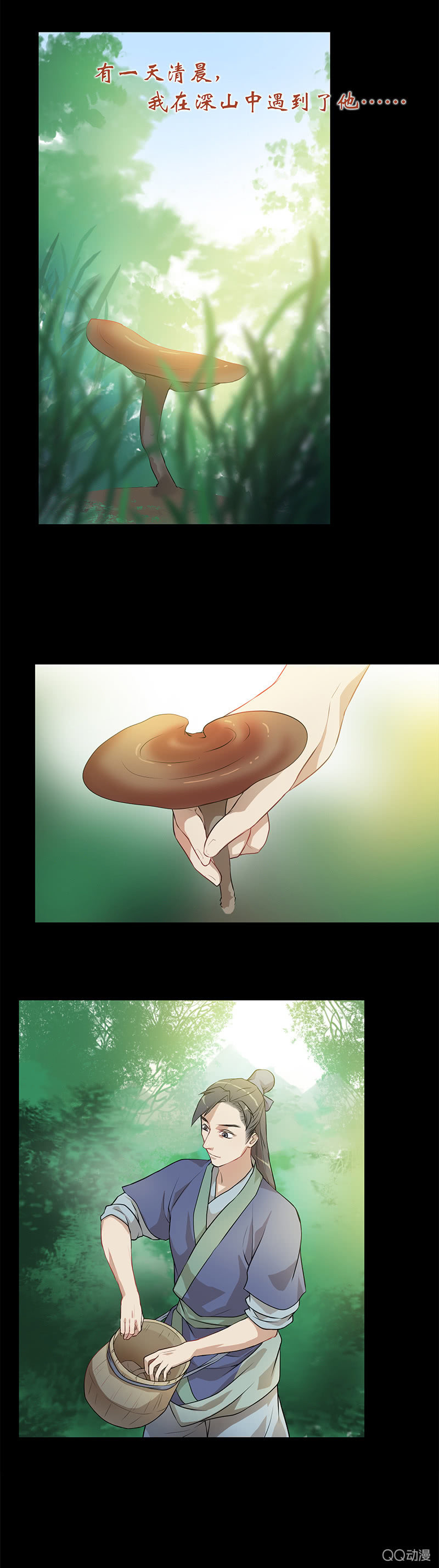 《瑶台镜》孤鸾照镜·四 第3页