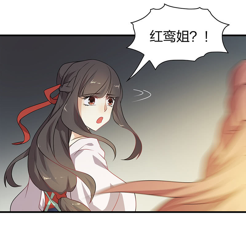 《瑶台镜》孤鸾照镜·十四 第47页