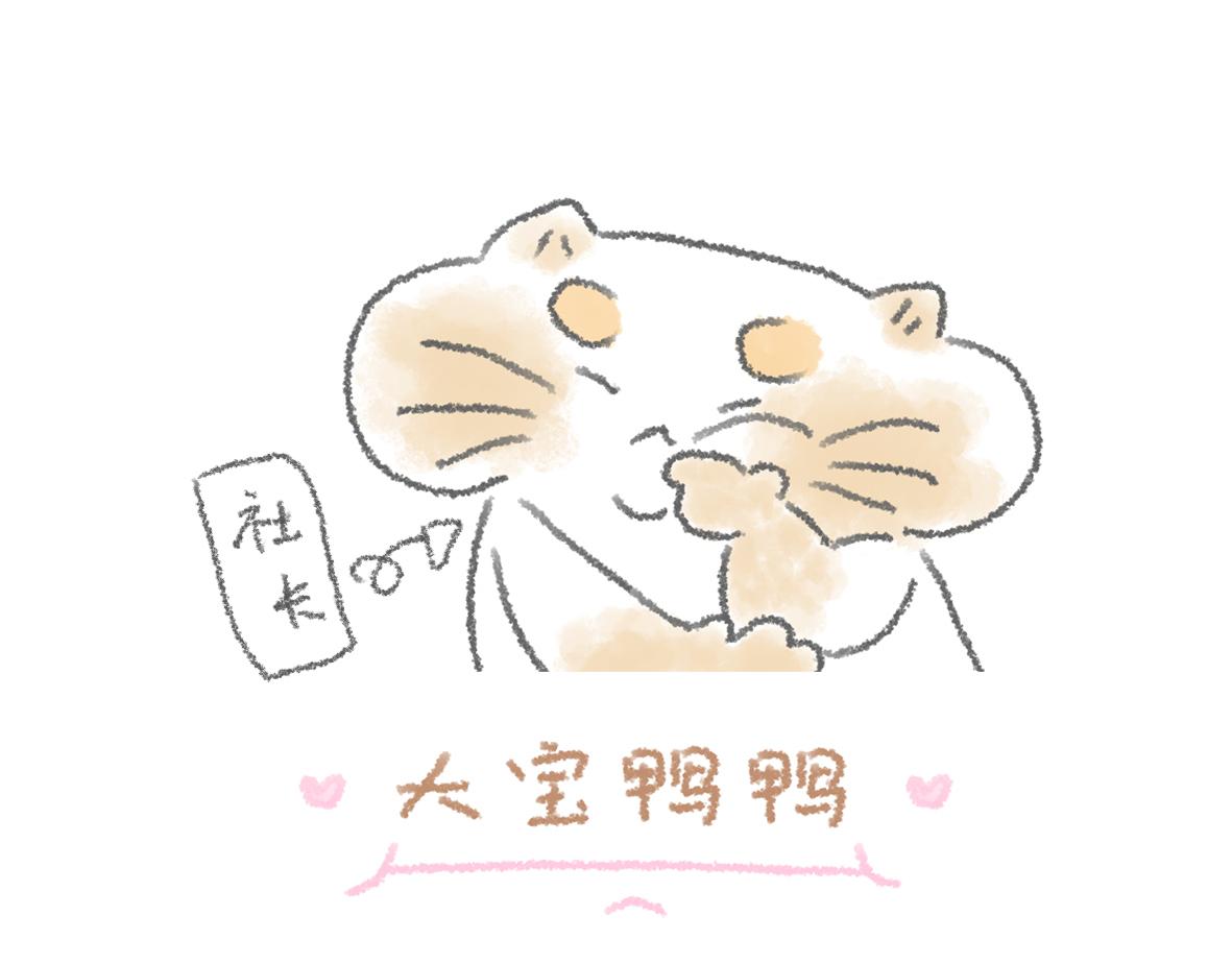 《大宝鸭鸭》12. 大宝的美食清单 第1页