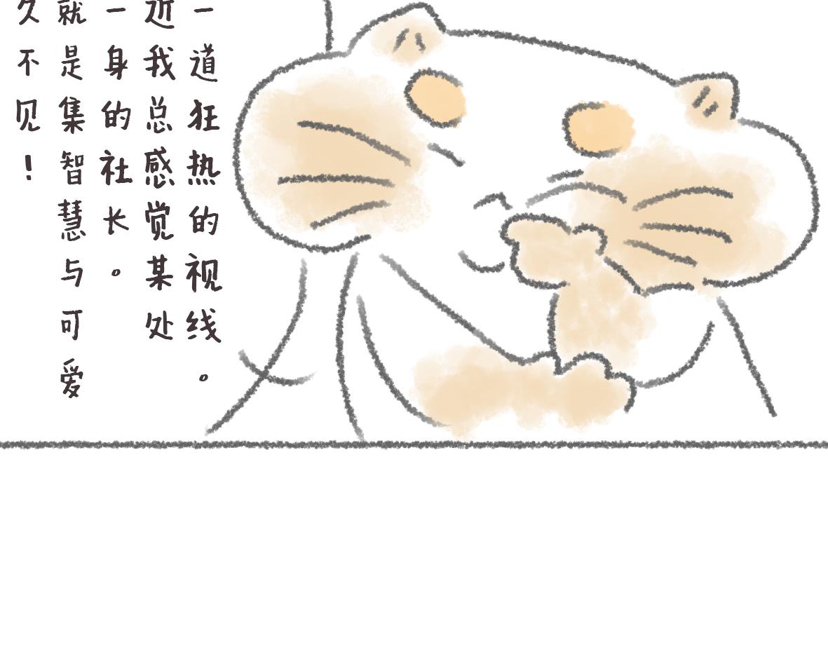 《大宝鸭鸭》第11话 锅铲上的番茄炒蛋 第10页