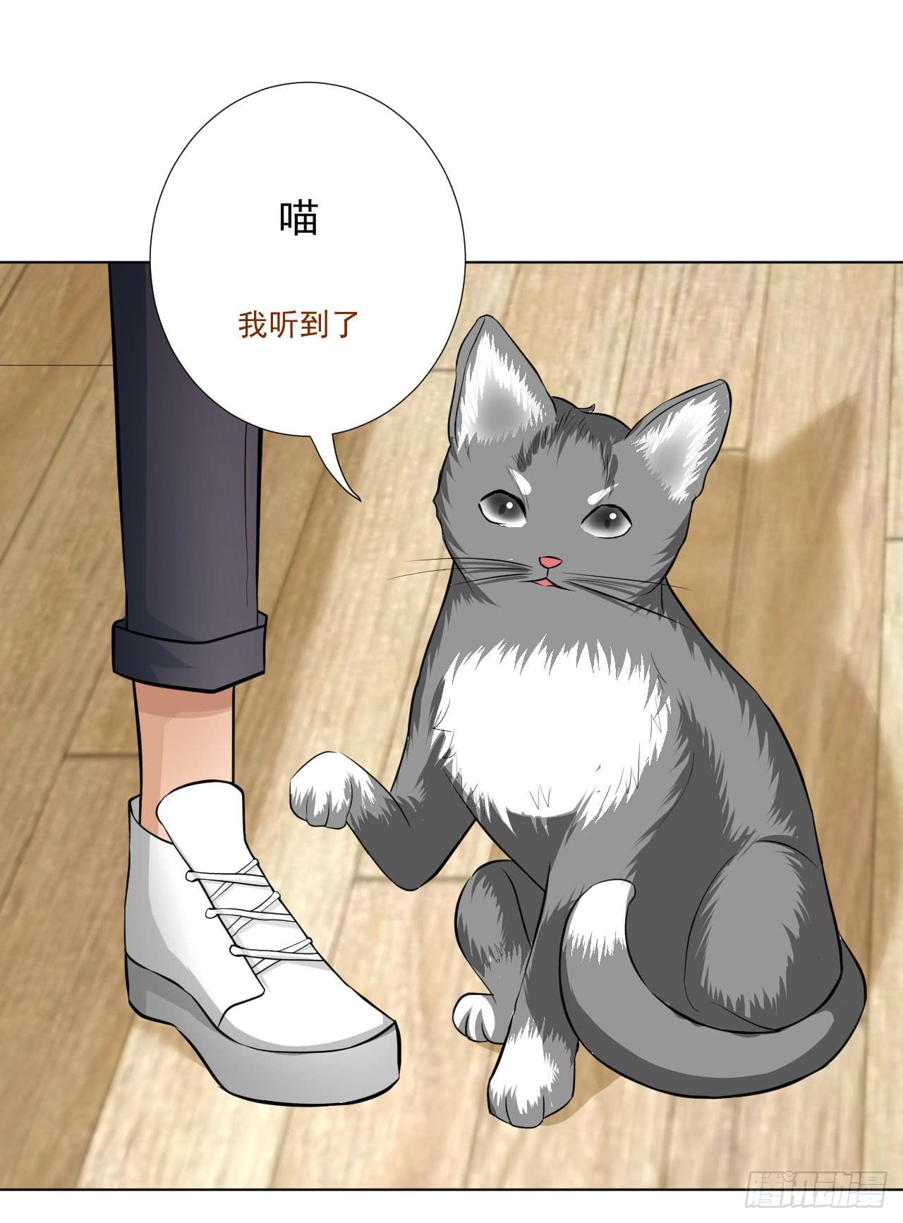 《甜蜜的诅咒》第12话 惊天消息！ 第47页