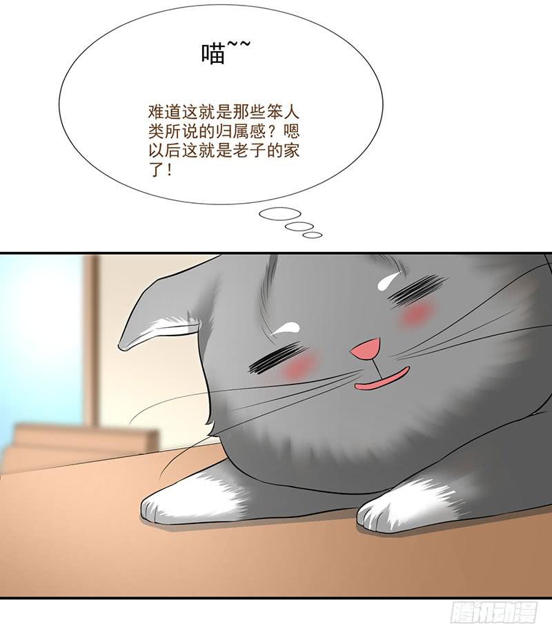《甜蜜的诅咒》第13话 什嘛！卖店！！ 第4页