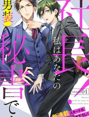 《社长！我是您的（男装）秘书。》漫画封面图 - tl漫画