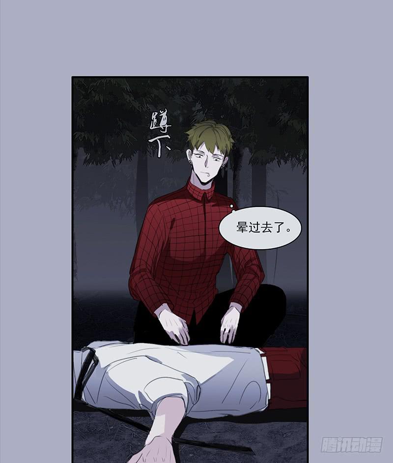 《二次延长线》33.森林荧光 第11页