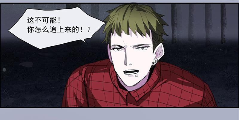 《二次延长线》33.森林荧光 第28页
