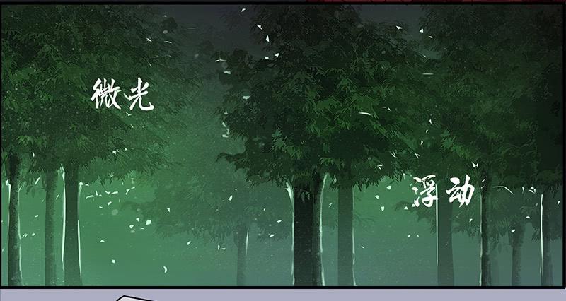 《二次延长线》33.森林荧光 第32页