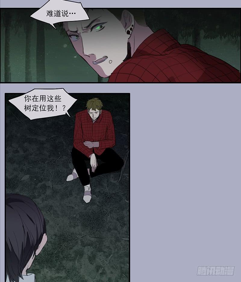 《二次延长线》33.森林荧光 第33页