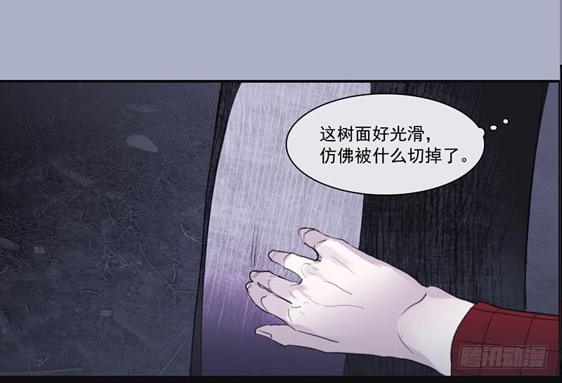 《二次延长线》33.森林荧光 第5页