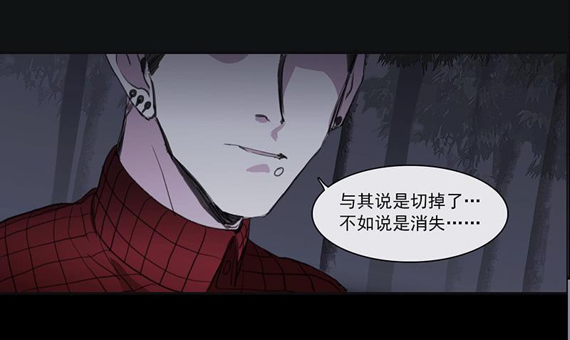 《二次延长线》33.森林荧光 第7页