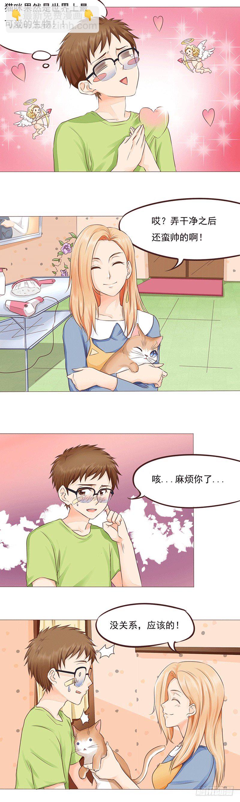 《丘比特大叔》第16话 女人和猫都败家 第3页