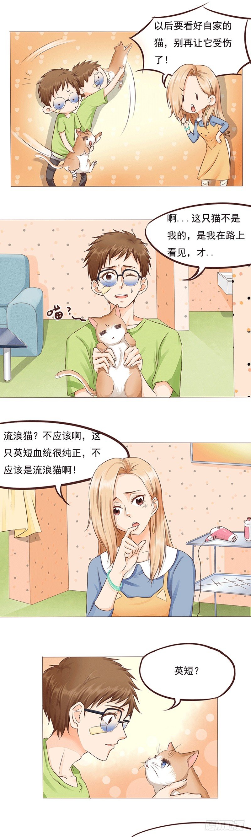 《丘比特大叔》第16话 女人和猫都败家 第4页
