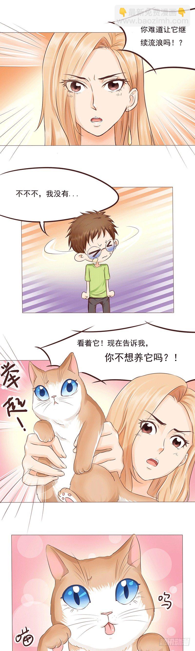 《丘比特大叔》第16话 女人和猫都败家 第6页