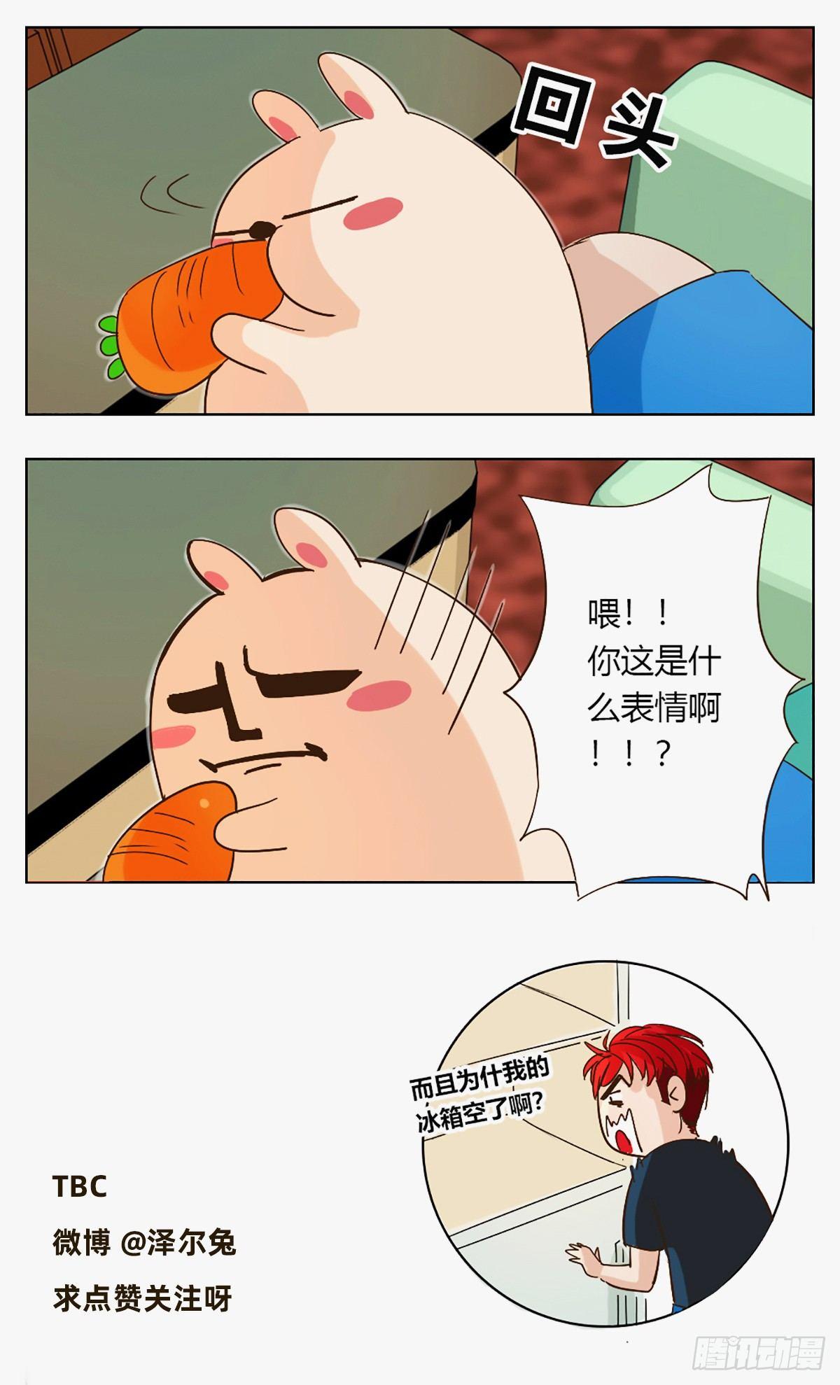 《魔法兔的奇遇》最佳拍档 第4页
