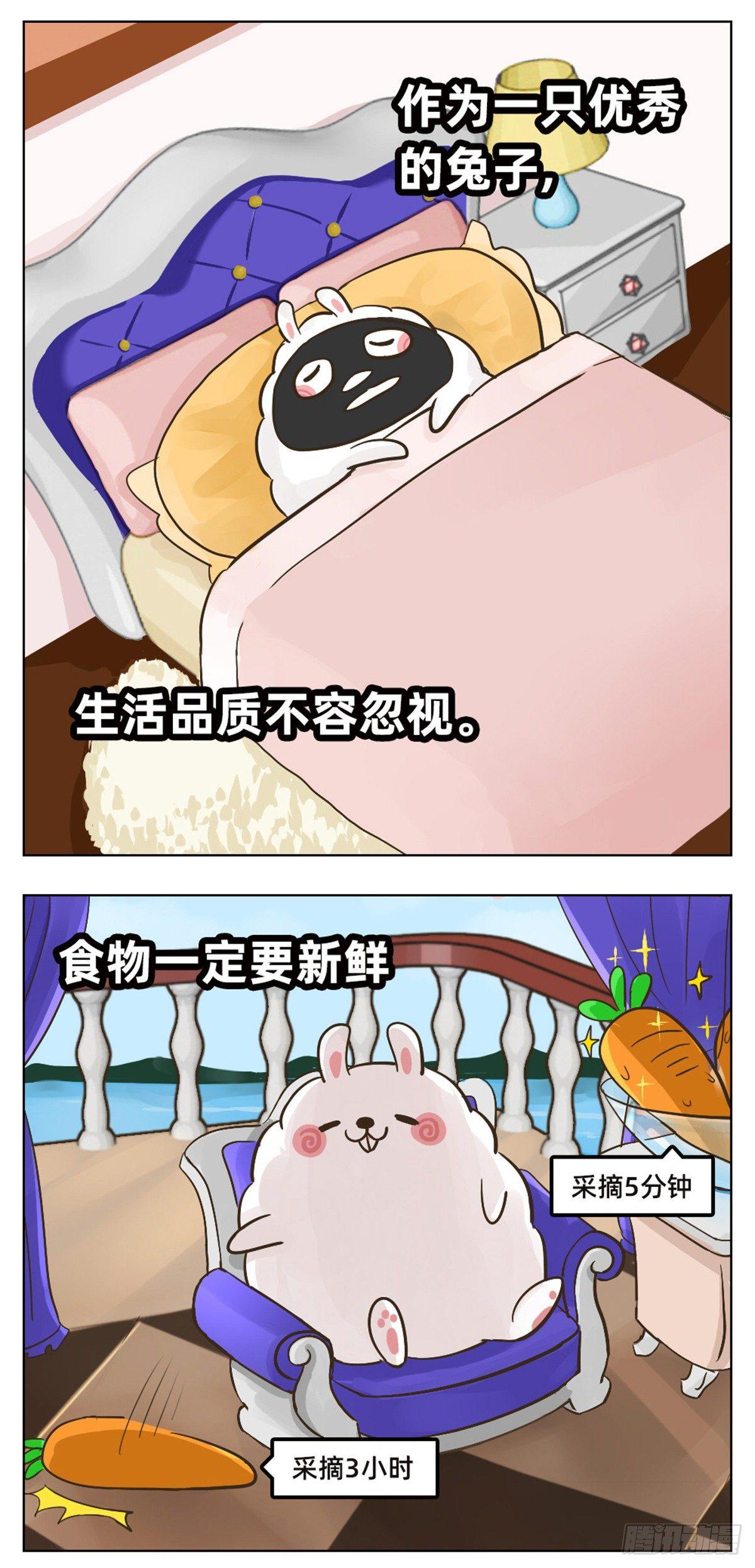 《魔法兔的奇遇》一团的日常 第3页