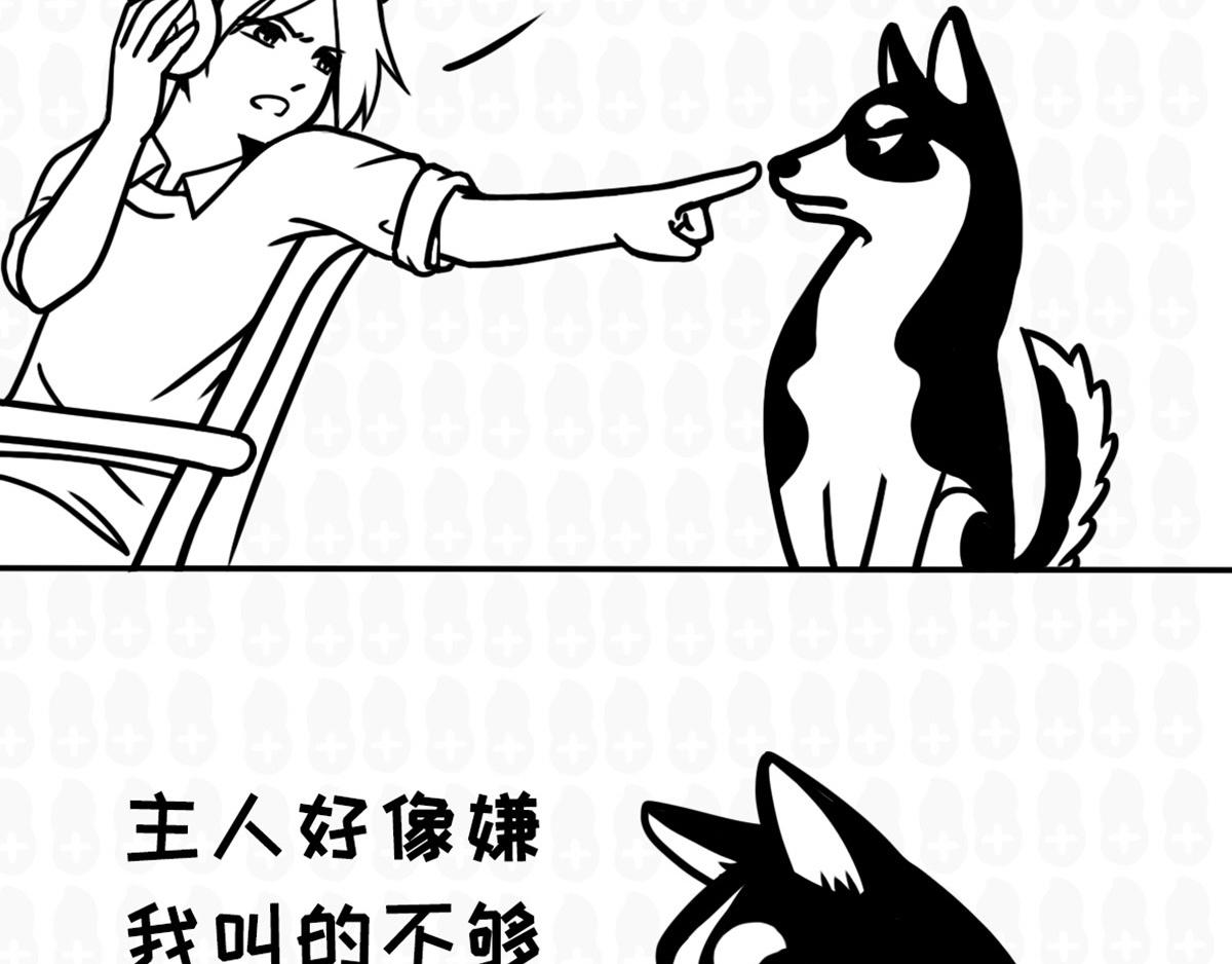 《花生社区》二哈叫的时候，千万不能骂 第3页