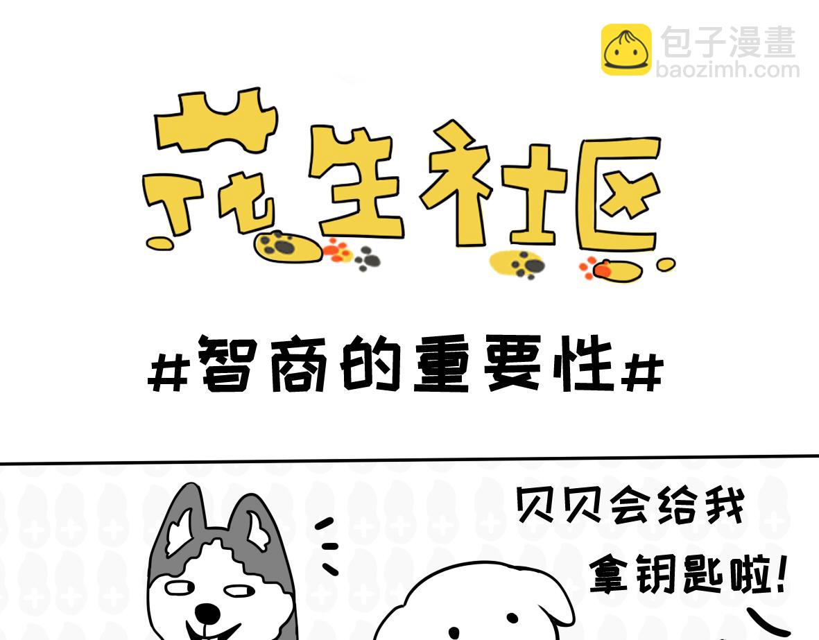 《花生社区》喵喵拳 第10页