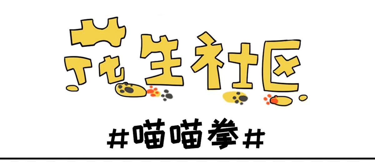 《花生社区》喵喵拳 第1页