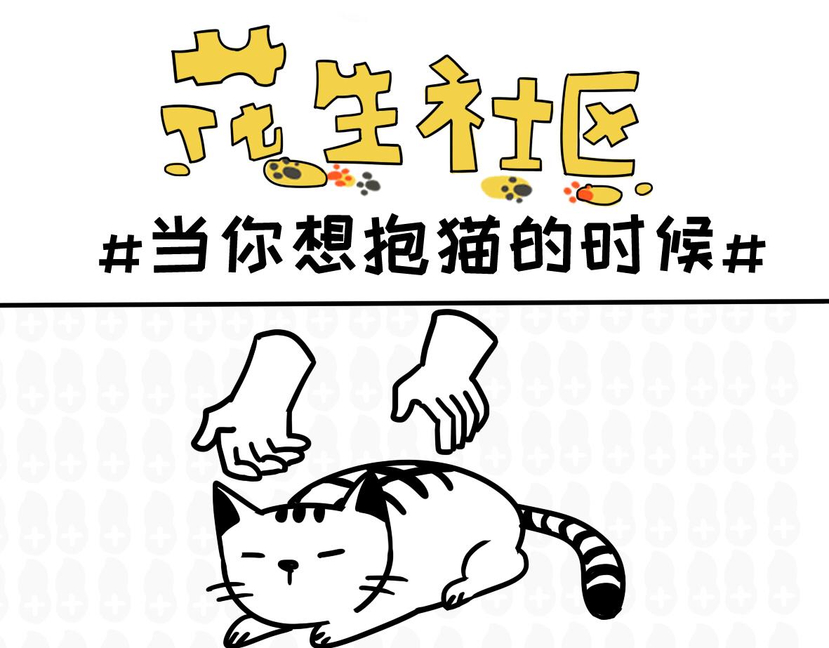 《花生社区》喵喵拳 第6页