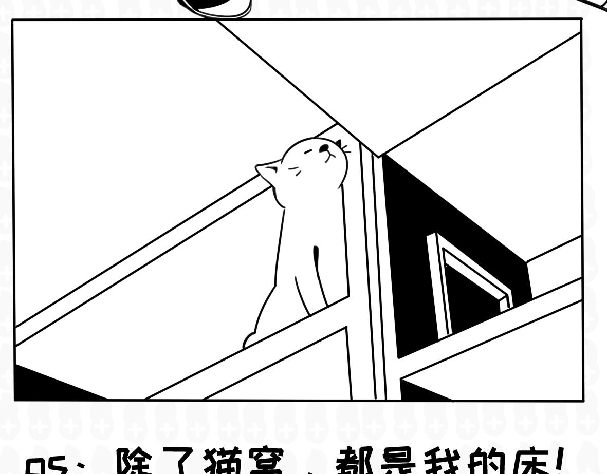 《花生社区》小短腿的忧伤 第11页