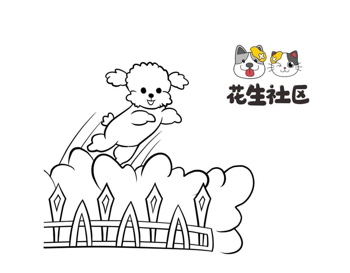 《花生社区》小短腿的忧伤 第1页