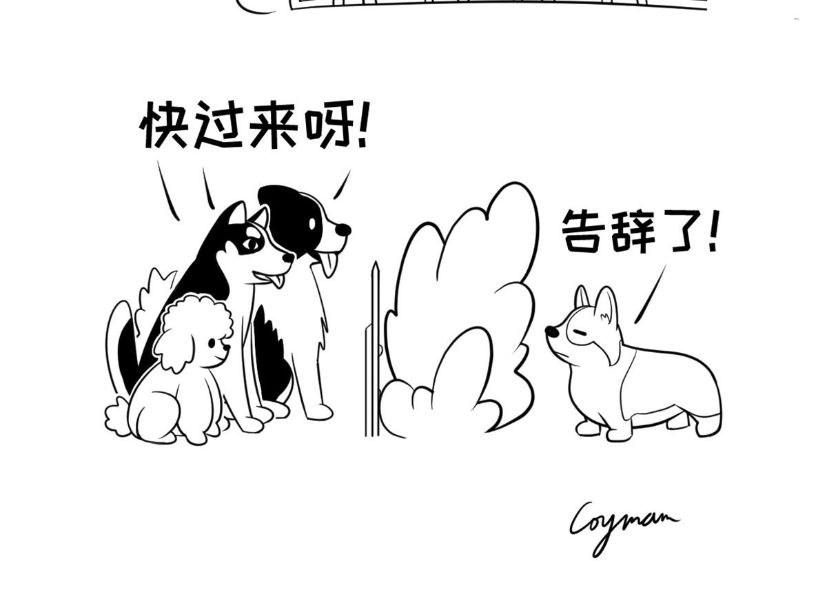 《花生社区》小短腿的忧伤 第4页