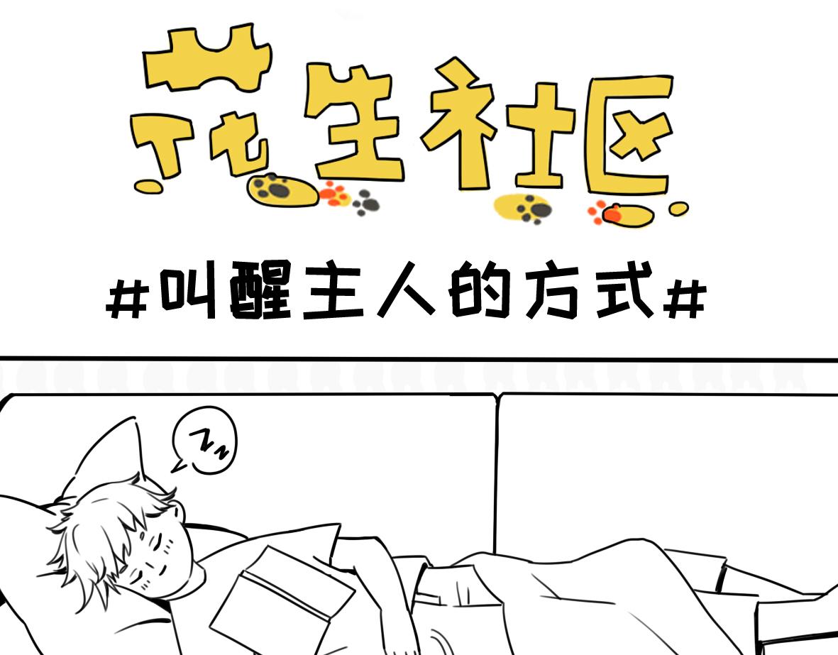 《花生社区》涂鸦 第5页