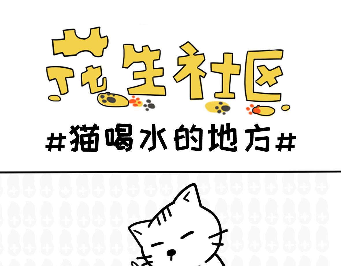《花生社区》涂鸦 第9页