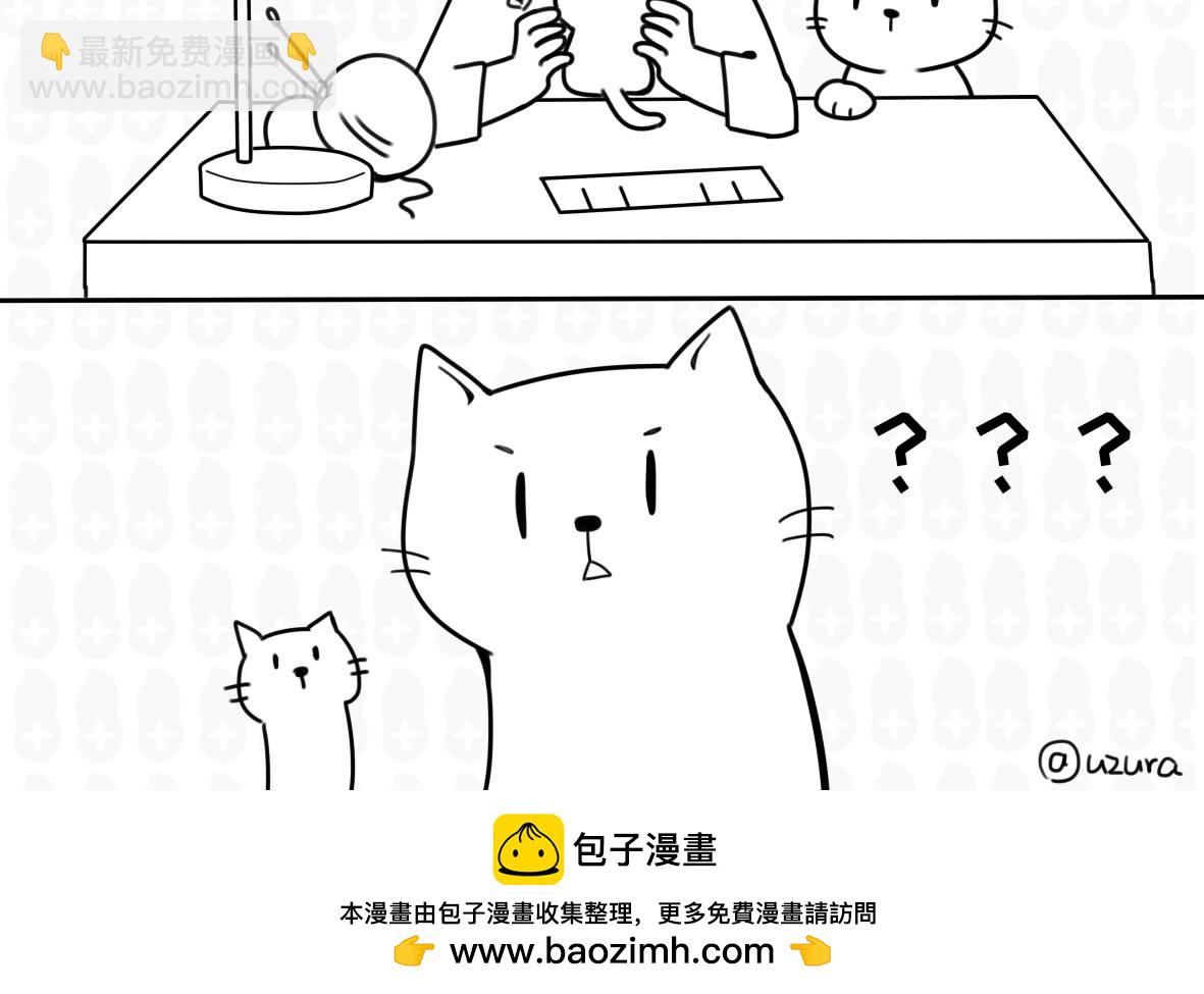 《花生社区》你以为的猫狗双全是什么样的？ 第12页