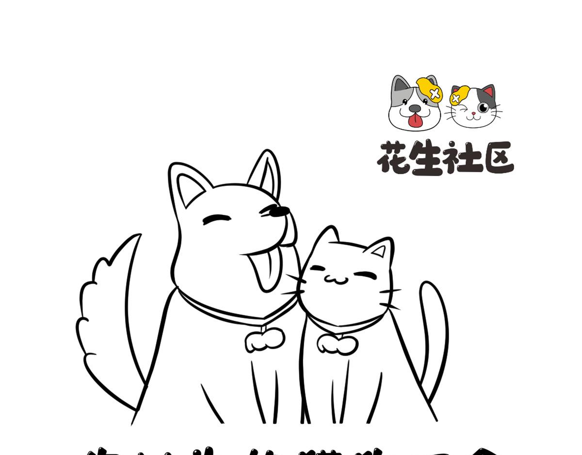 《花生社区》你以为的猫狗双全是什么样的？ 第1页