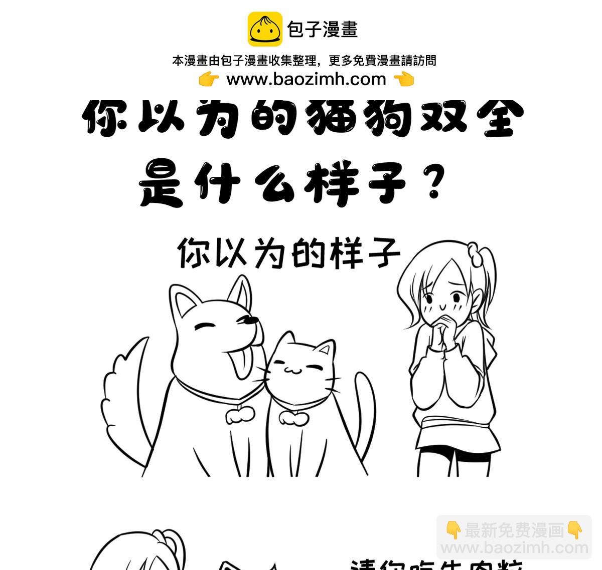 《花生社区》你以为的猫狗双全是什么样的？ 第2页