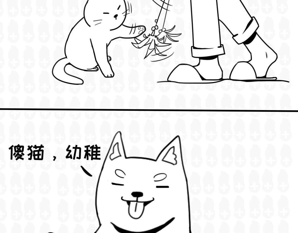 《花生社区》你以为的猫狗双全是什么样的？ 第6页