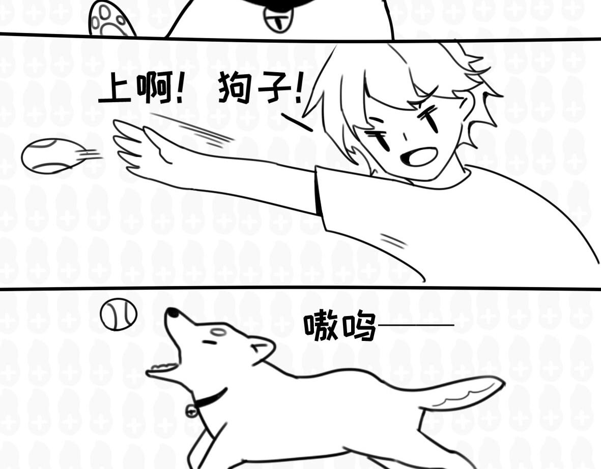 《花生社区》你以为的猫狗双全是什么样的？ 第7页