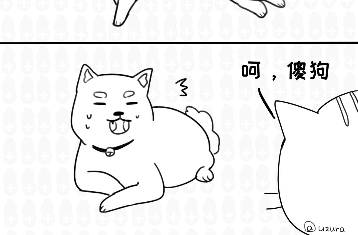 《花生社区》你以为的猫狗双全是什么样的？ 第8页
