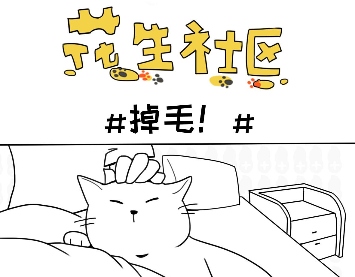 《花生社区》你以为的猫狗双全是什么样的？ 第9页