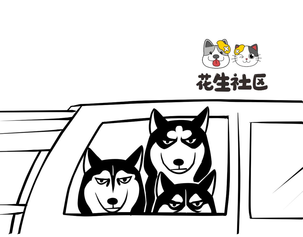 《花生社区》确认过眼神 第1页